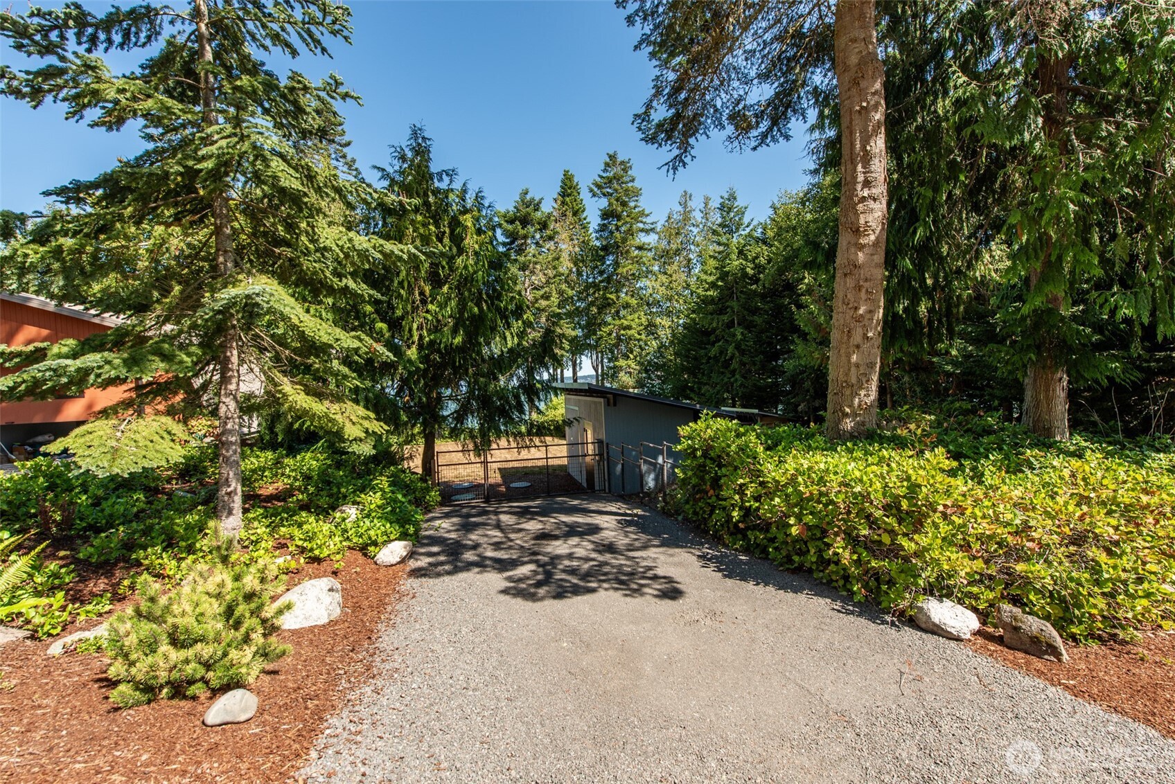 681 Bachelor Road Sequim, WA 98382 - Photo 36 of 39 a view of a backyard with potted plants and large trees