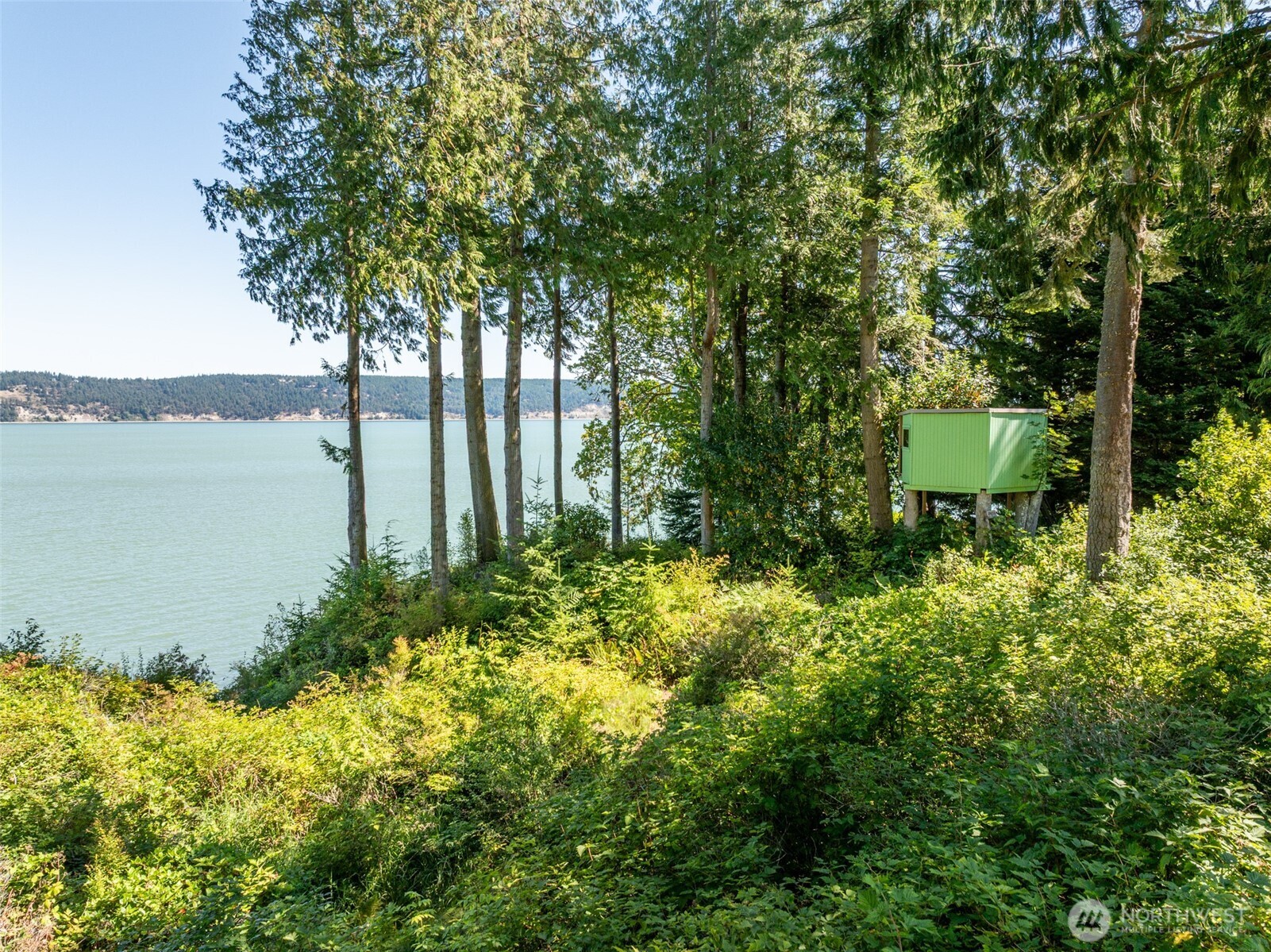681 Bachelor Road Sequim, WA 98382 - Photo 39 of 39 a view of a garden with a lake