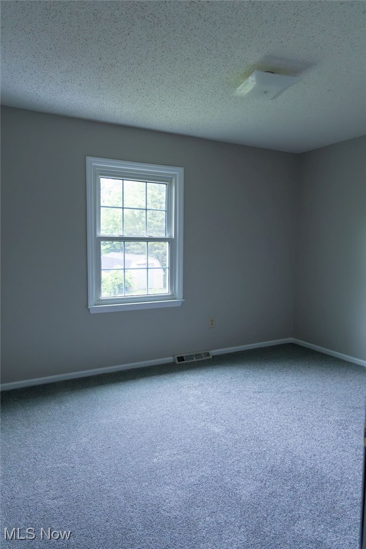 3333 Dayton Road Madison, OH 44057 - Photo 23 of 48 Carpeted spare room with a textured ceiling and baseboards