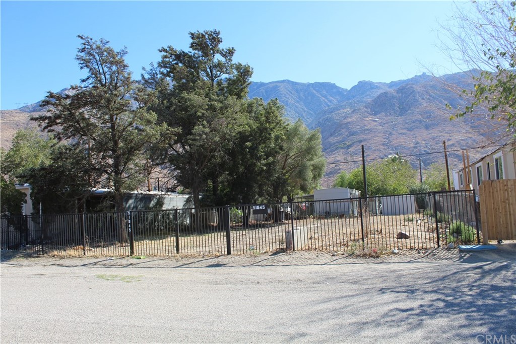 51945 Maxine Avenue Cabazon, CA 92230 - Photo 18 of 21 a view of a backyard with a tree
