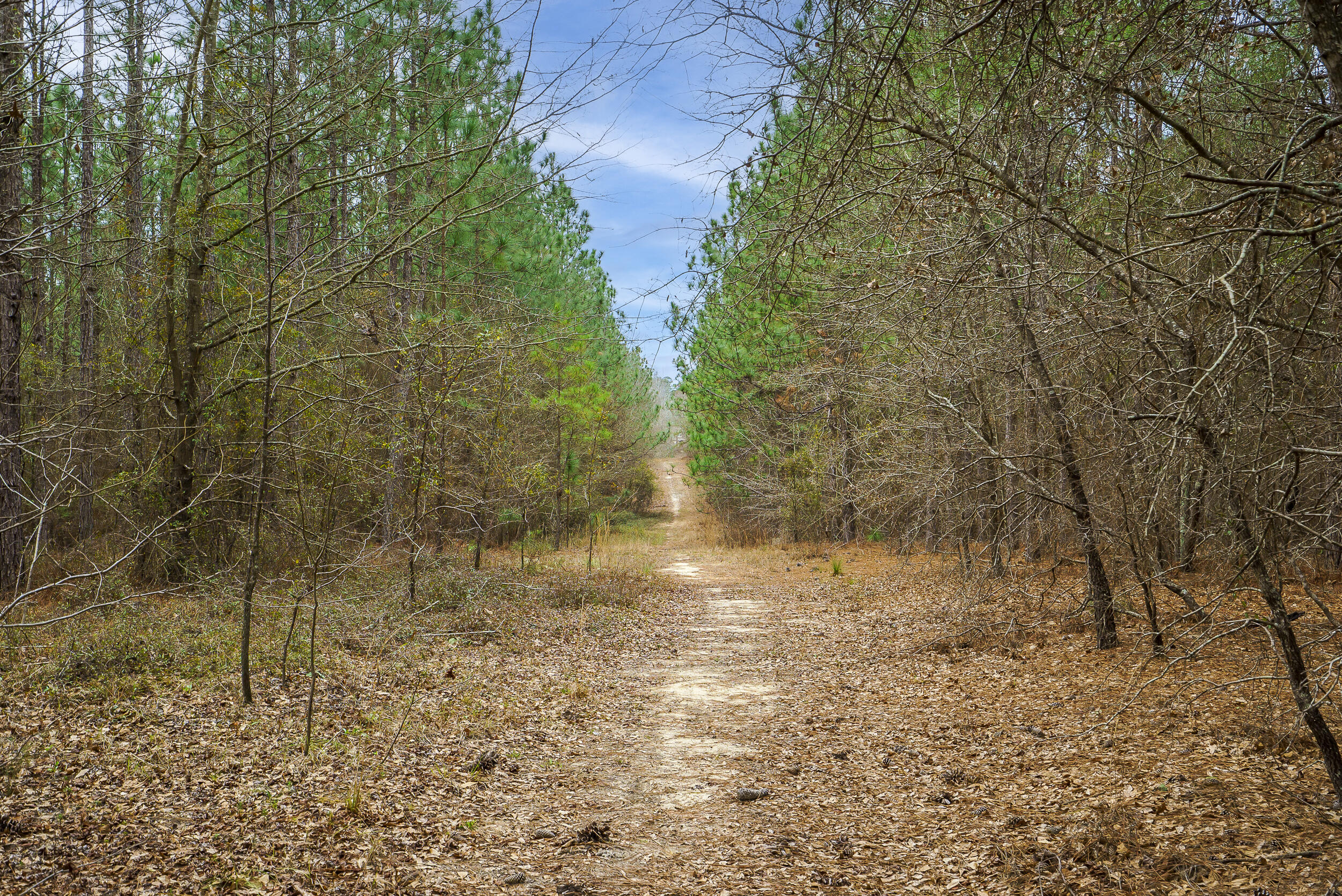 Lot 4-1 Simonside Court Aiken, SC 29803 - Photo 15 of 31