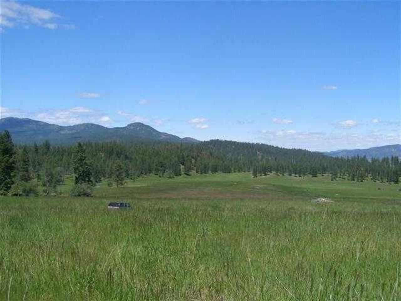 Lot G Barzee Road Colville, WA 99114 - Photo 1 of 7