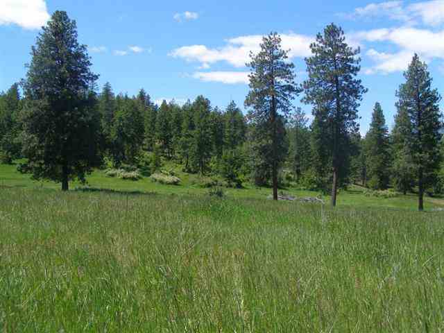 Lot G Barzee Road Colville, WA 99114 - Photo 3 of 7