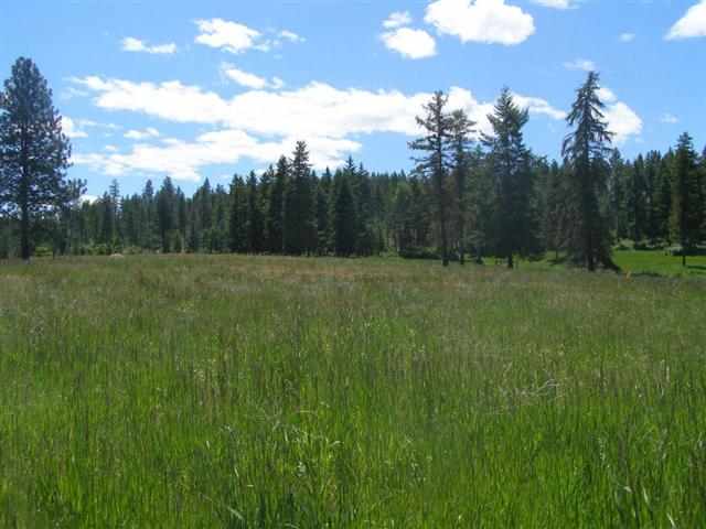 Lot G Barzee Road Colville, WA 99114 - Photo 5 of 7