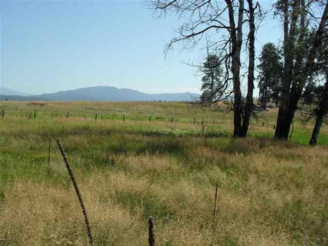 Lot G Barzee Road Colville, WA 99114 - Photo 6 of 7