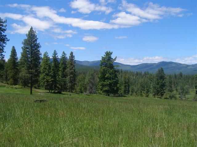 Lot G Barzee Road Colville, WA 99114 - Photo 7 of 7