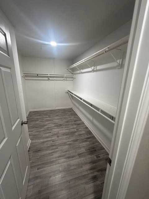 3906 Madden Lane Houston, TX 77047 - Photo 5 of 11 a view of an empty walk in closet
