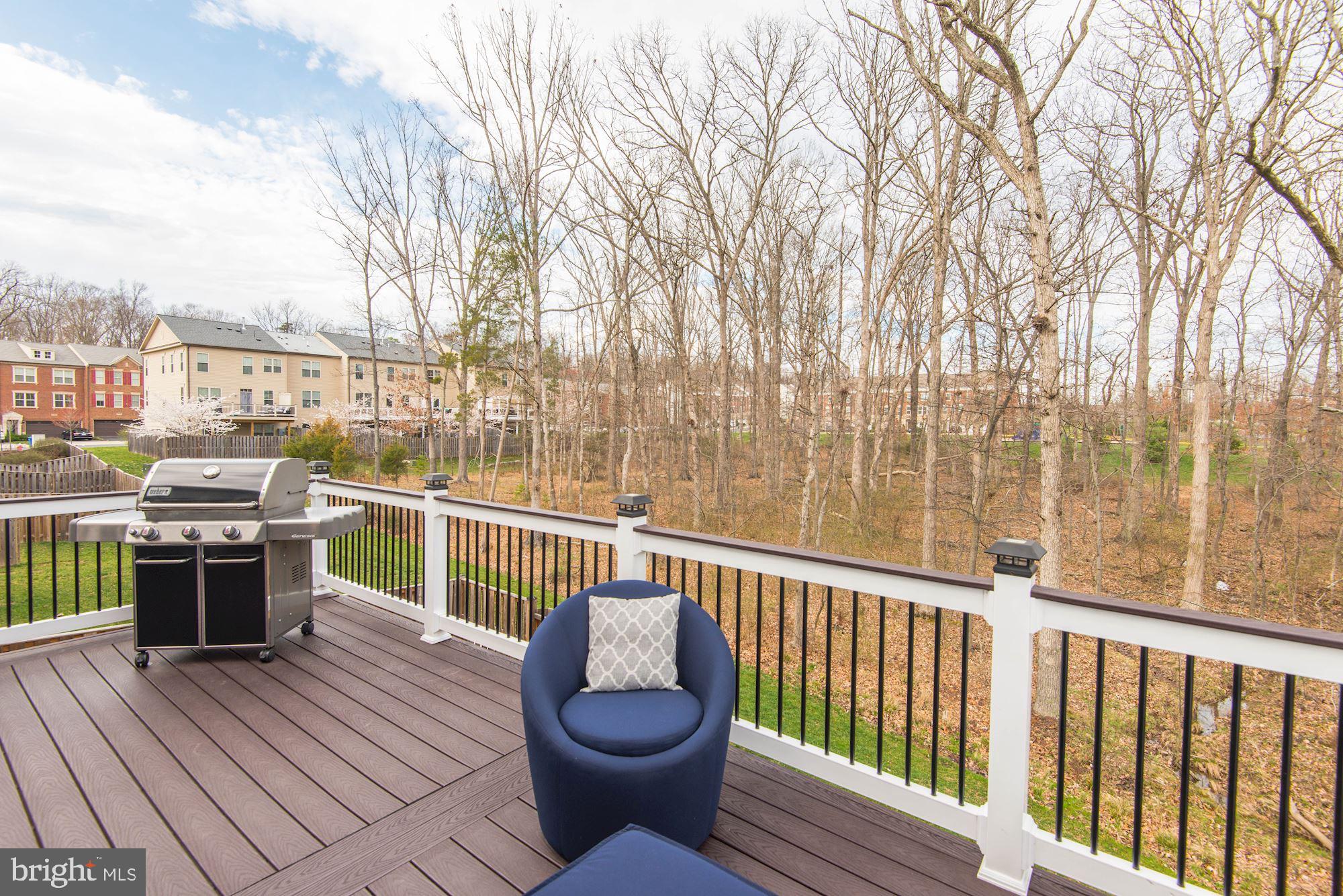 42241 Castle Ridge Square Brambleton, VA 20148 - Photo 35 of 40 Gallery Image 35