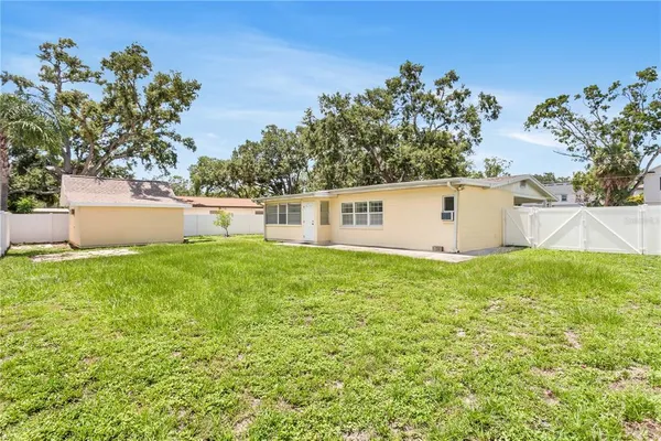 a view of a backyard with a garden and plants