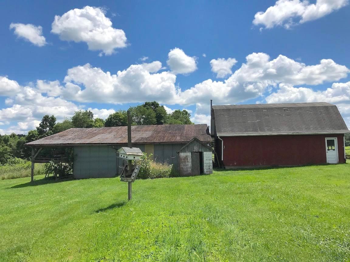 1975 Mollies Rock Road Dresden, OH 43821 - Photo 35 of 47