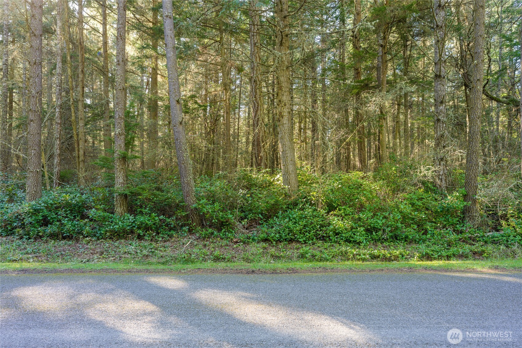 0 King's Point Road Lopez Island, WA 98261 - Photo 4 of 5