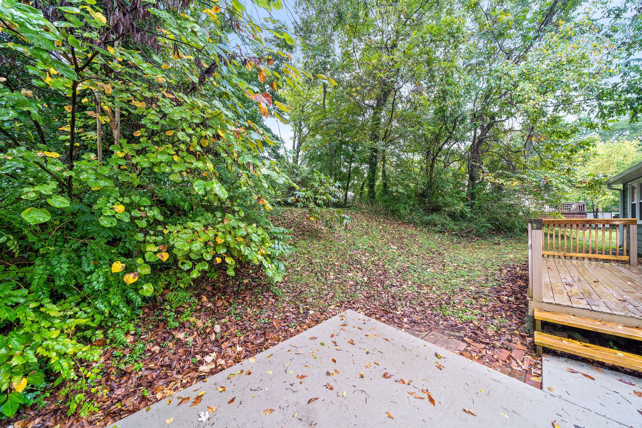 210 North Garner Street Springfield, TN 37172 - Photo 20 of 29 Gallery Image 20