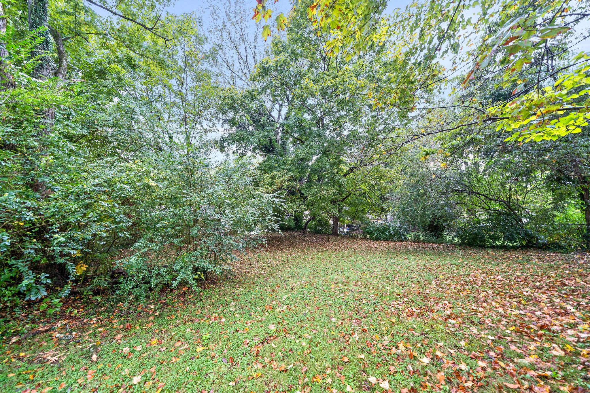 210 North Garner Street Springfield, TN 37172 - Photo 22 of 29 Gallery Image 22