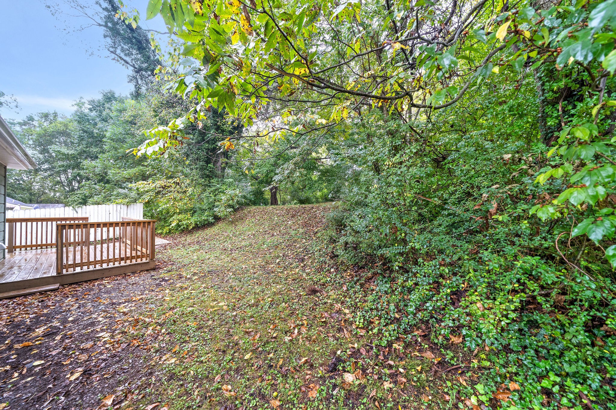 210 North Garner Street Springfield, TN 37172 - Photo 25 of 29 Gallery Image 25