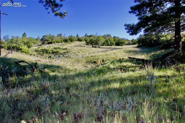 292 Pine Road Florissant, CO 80816 - Photo 4 of 14