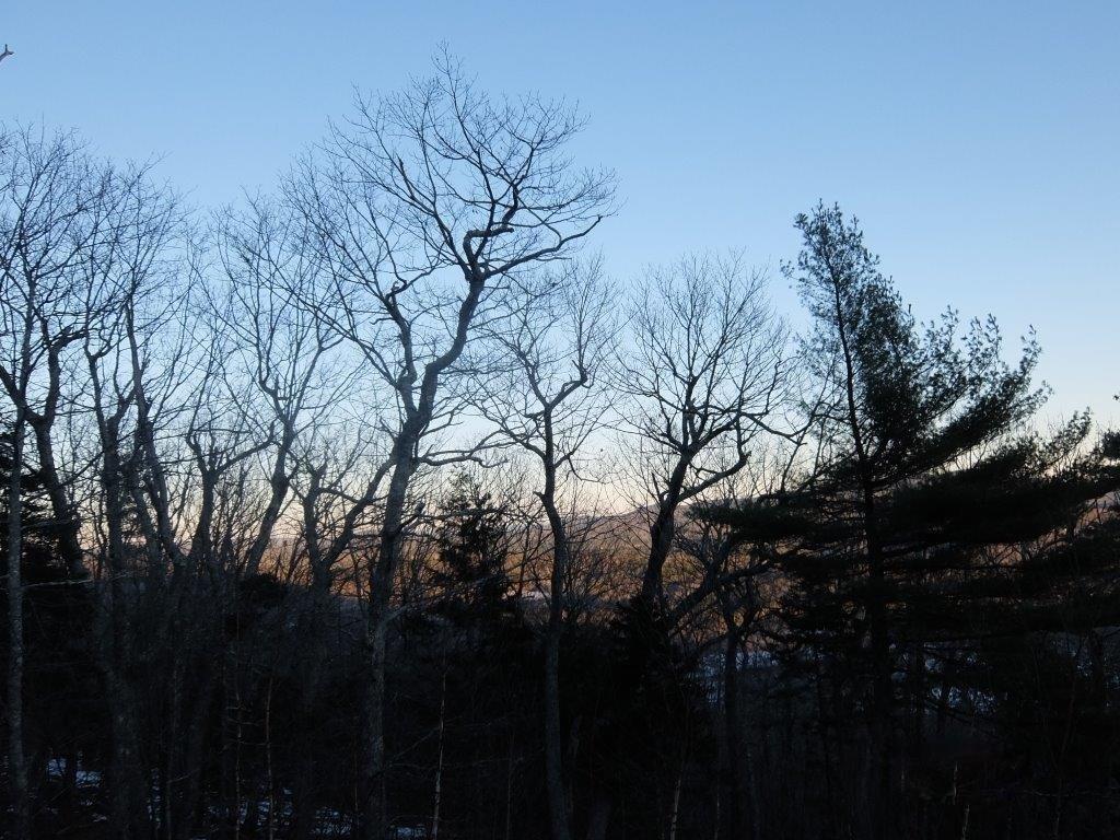 0 Hatchet Mountain Road Hope, ME 04847 - Photo 14 of 31