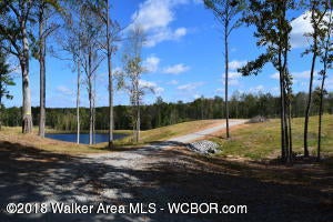 Gray Road Jasper, AL 35504 - Photo 7 of 7 From Road