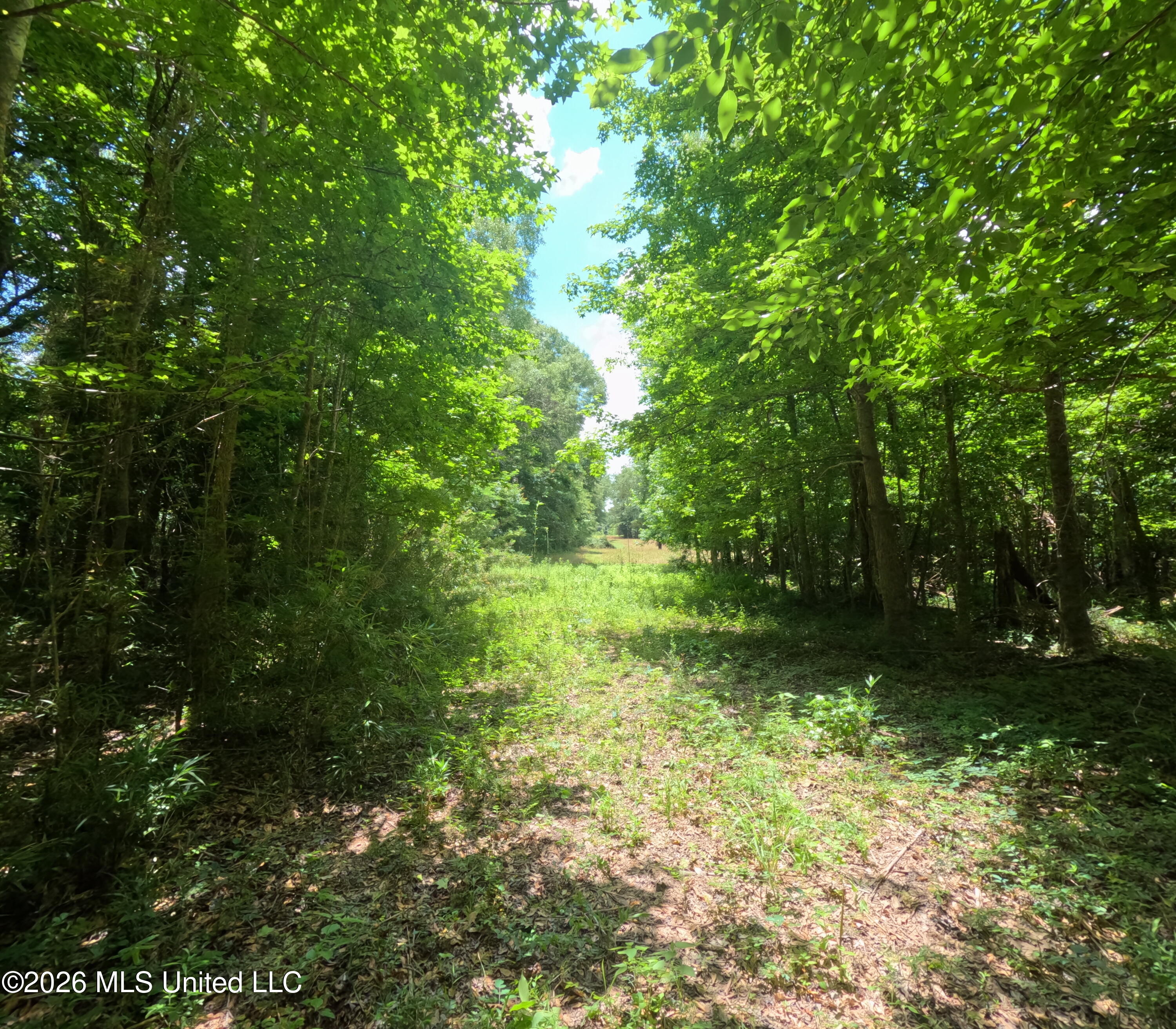 Old Port Edwards, MS 39066 - Photo 30 of 65 GOPR2234