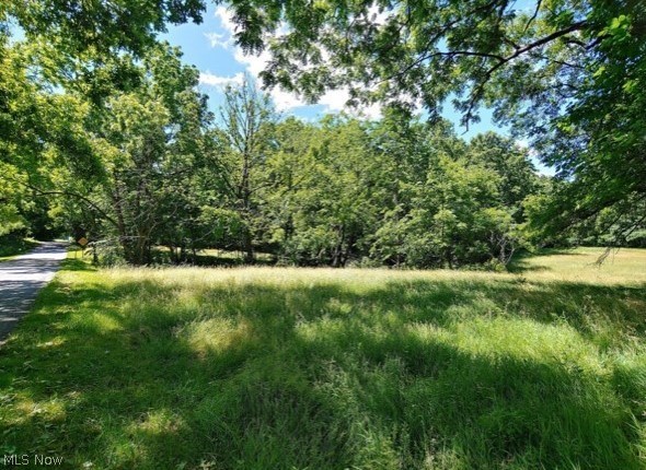 Kinsman Ridge Kinsman, OH 44428 - Photo 4 of 17 Gallery Image 4