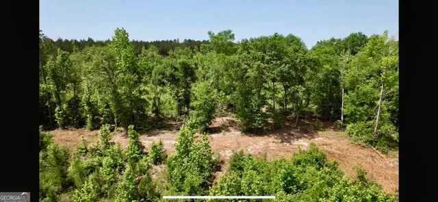 a view of a yard with plants and a bench