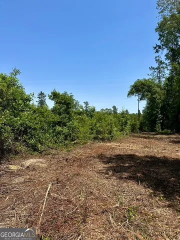 a view of a dirt road with trees in the background