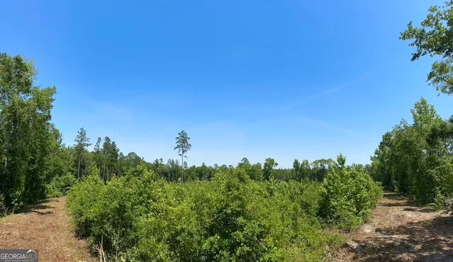 a view of a yard with a tree