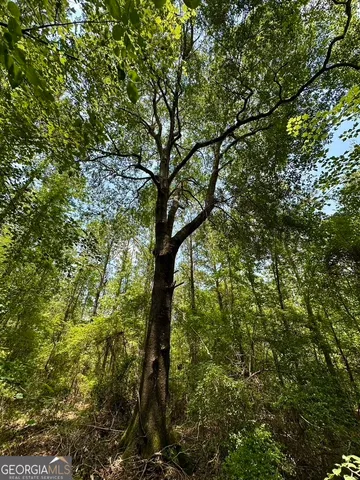 $270,000 | 0 Bennett Colter Road, Cadwell, GA 31009