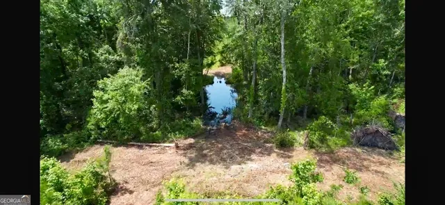 a backyard of a house with lots of green space and garden