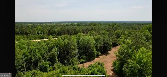 an aerial view of residential house with green space
