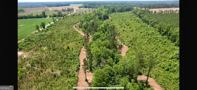 a view of a garden with a building