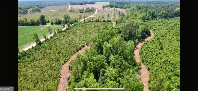 a view of a lush green forest with lots of trees