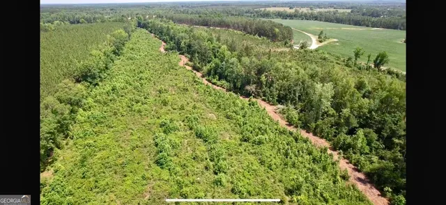 a view of a green field with a lake