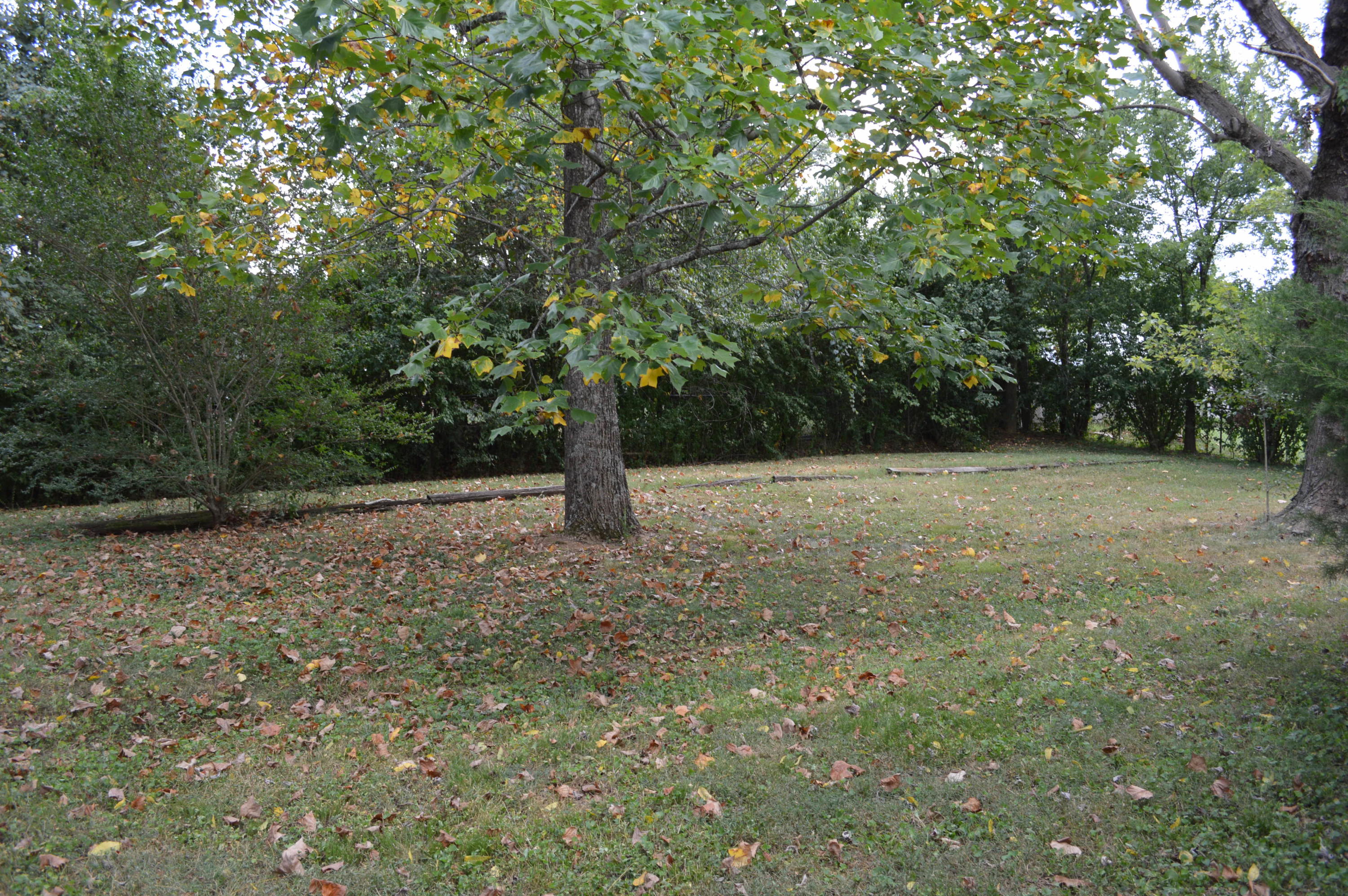 2502 Jenkins Road Chattanooga, TN 37421 - Photo 5 of 14 Back Yard