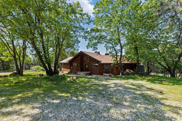a view of a yard with plants and trees