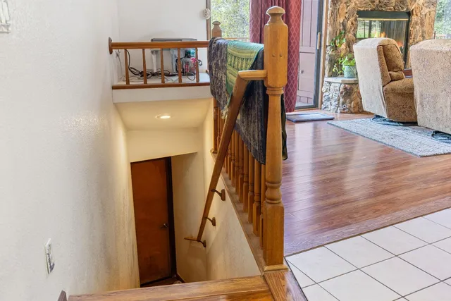 a view of a trees in a park