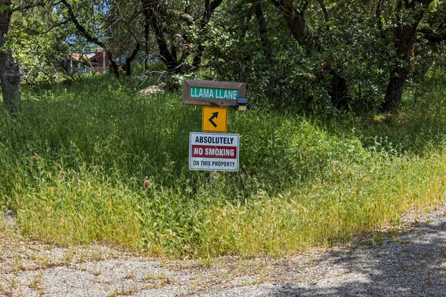a front view of house with a garden