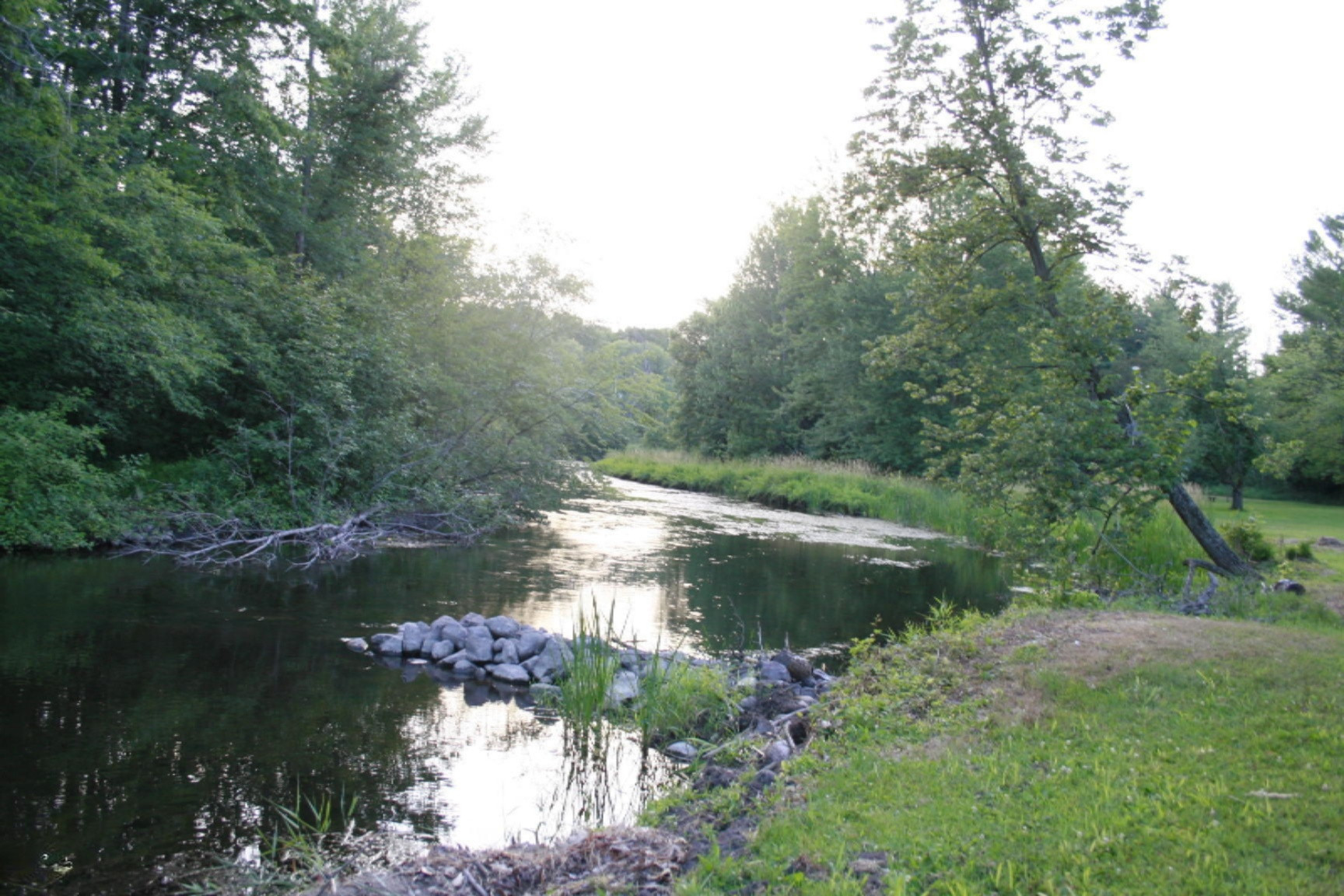 3993 West Waterwheel Road Northwest Stanton, MI 48888 - Photo 10 of 20 _MG_4563