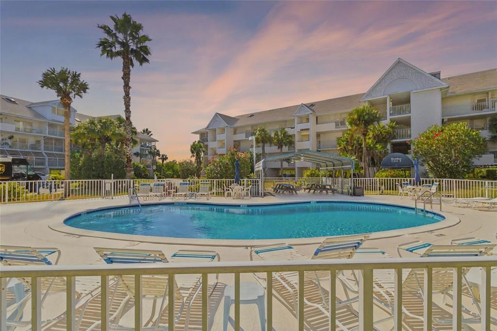 5567 Sea Forest Drive, Unit 323 New Port Richey, FL 34652 - Photo 33 of 37 a view of swimming pool of water with lawn chairs and large trees