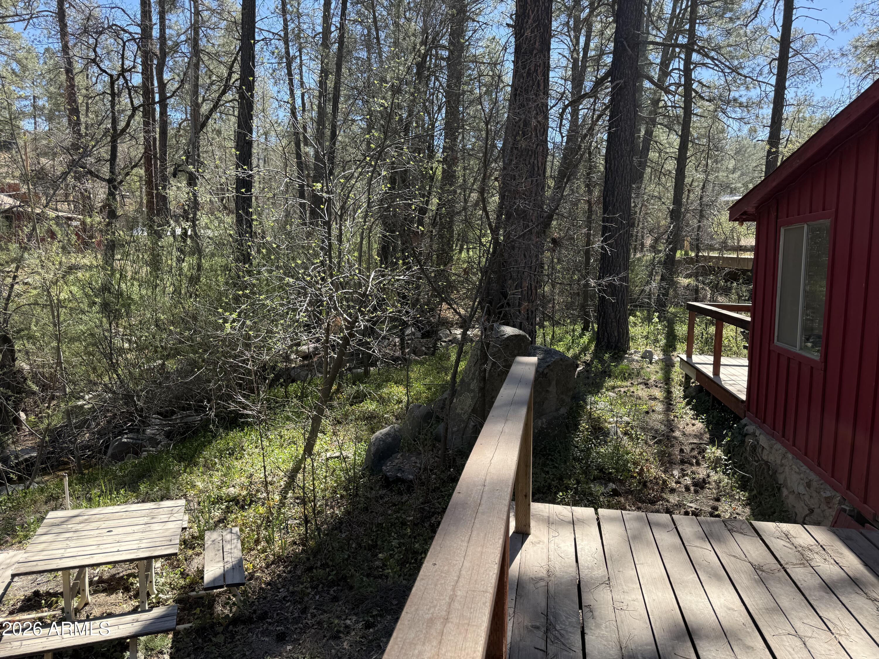 23619 South Gladiator Mine Road Crown King, AZ 86343 - Photo 5 of 19 Tall pines