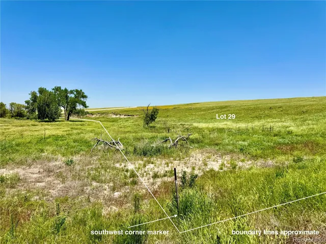 a view of an ocean from a yard