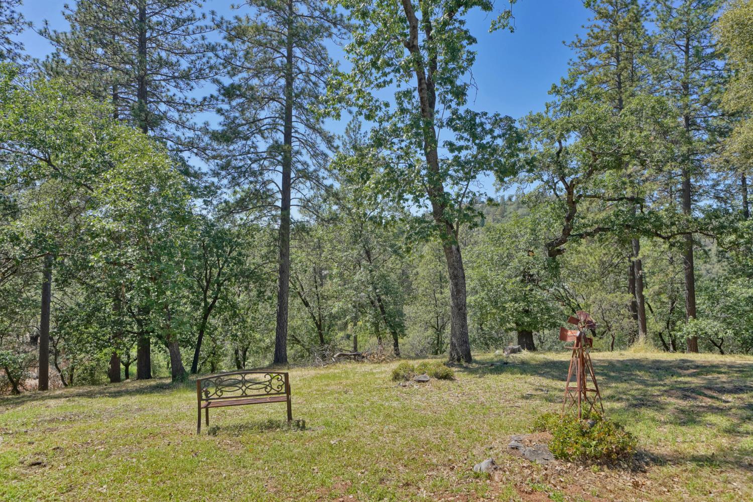 2469 Secret Ravine Trail Cool, CA 95614 - Photo 6 of 80