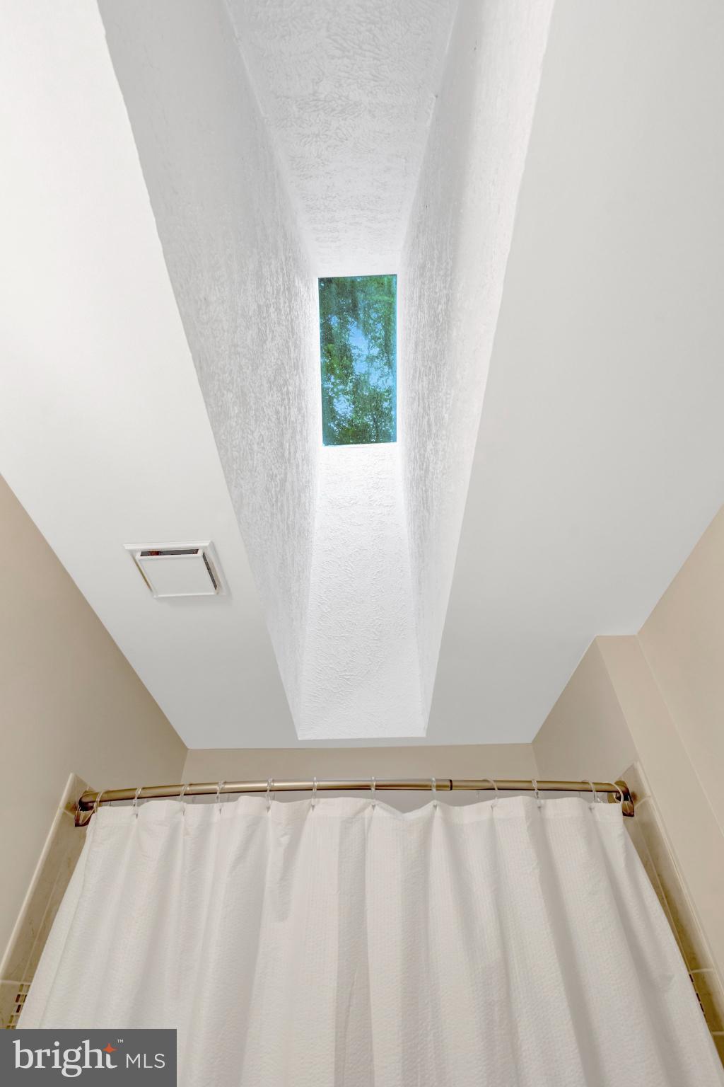 11181 Longwood Grove Drive Reston, VA 20194 - Photo 55 of 94 Natural light from the Skylight