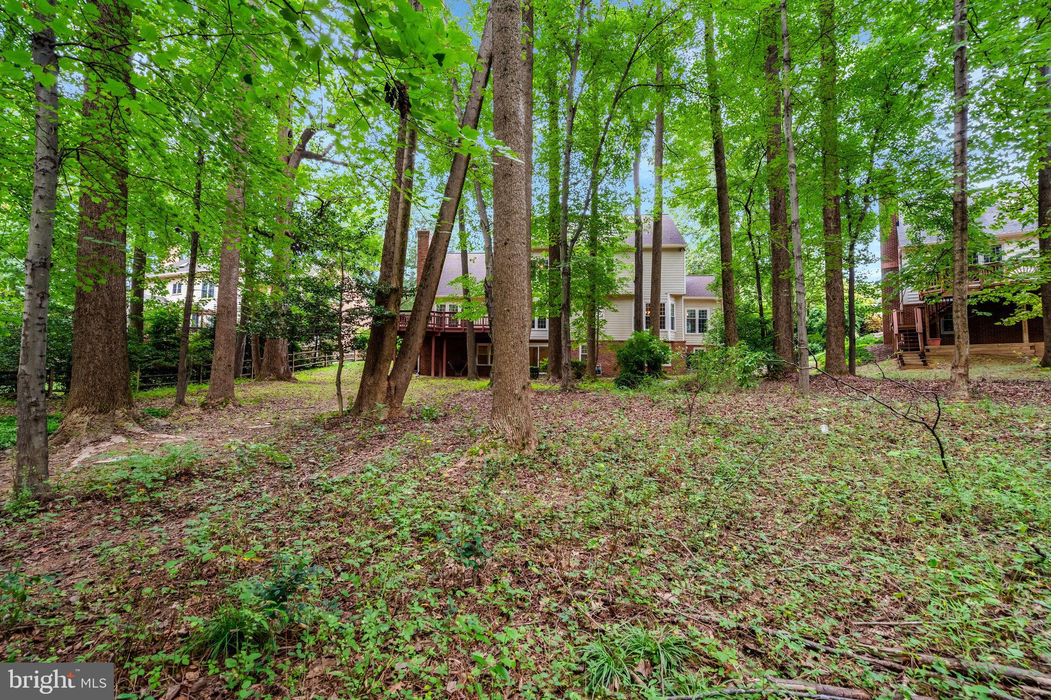 11181 Longwood Grove Drive Reston, VA 20194 - Photo 84 of 94 a backyard of a house with lots of green space