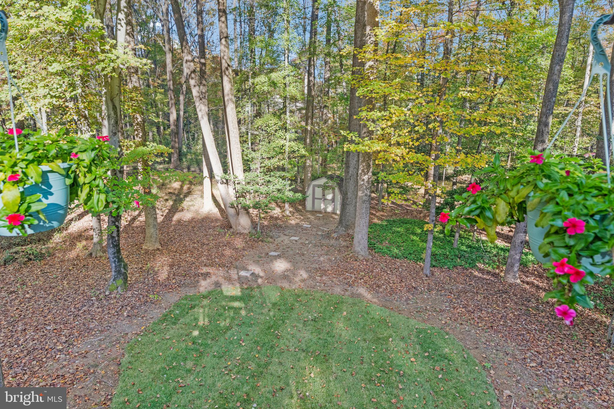11181 Longwood Grove Drive Reston, VA 20194 - Photo 85 of 94 Serene woodland retreat with vibrant blooms.