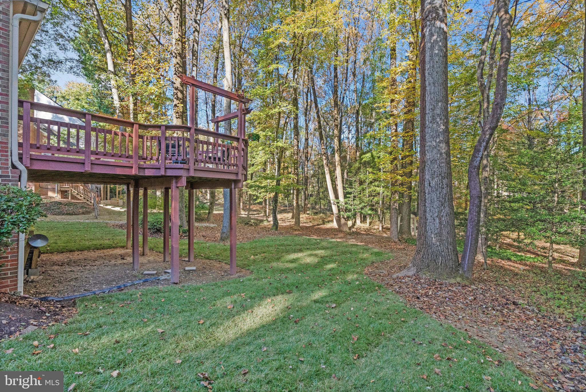 11181 Longwood Grove Drive Reston, VA 20194 - Photo 86 of 94 Serene backyard retreat with vibrant foliage.