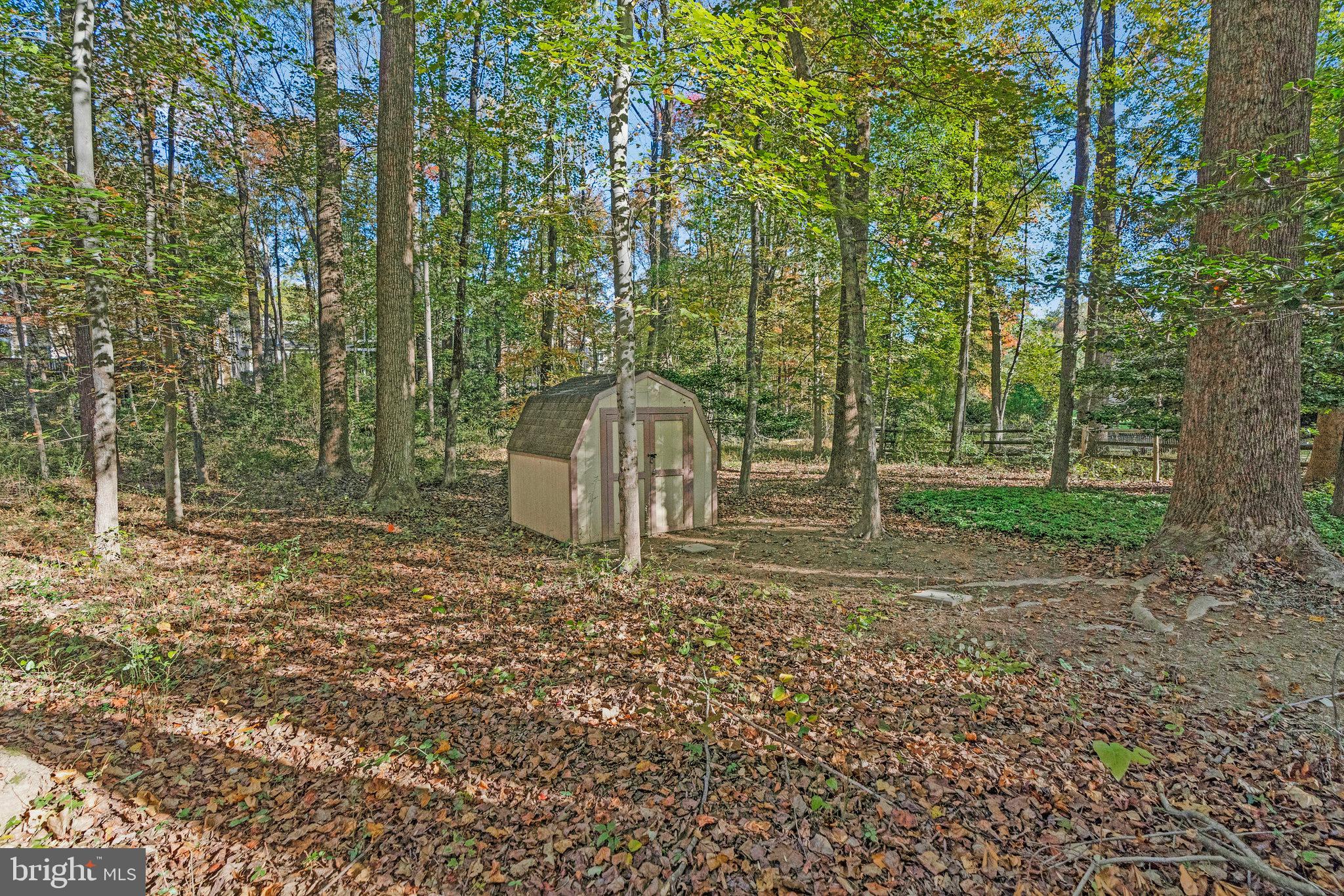11181 Longwood Grove Drive Reston, VA 20194 - Photo 89 of 94 Serene woodland retreat with a cozy shed.