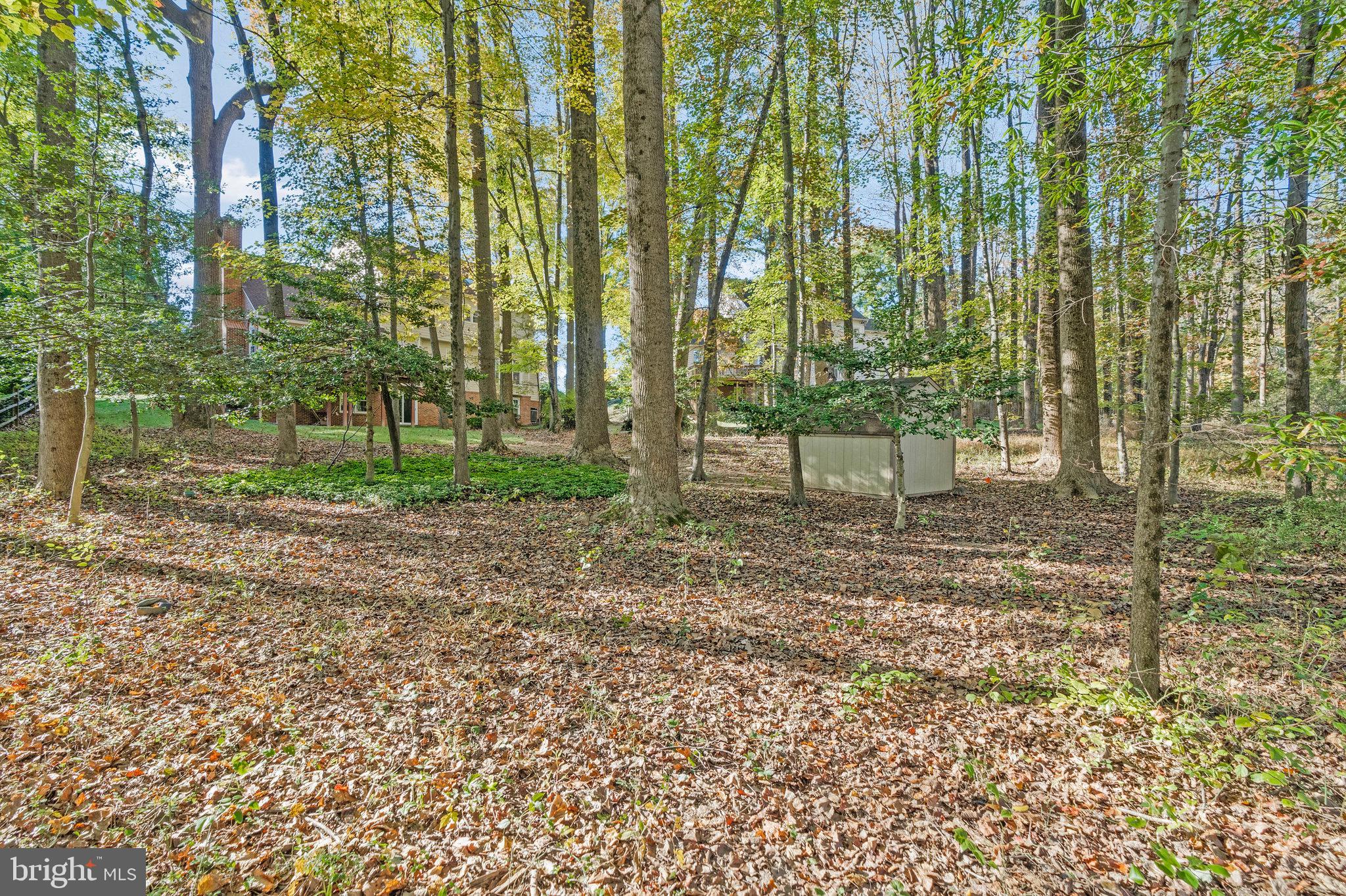 11181 Longwood Grove Drive Reston, VA 20194 - Photo 90 of 94 Serene woodland retreat awaits your vision.