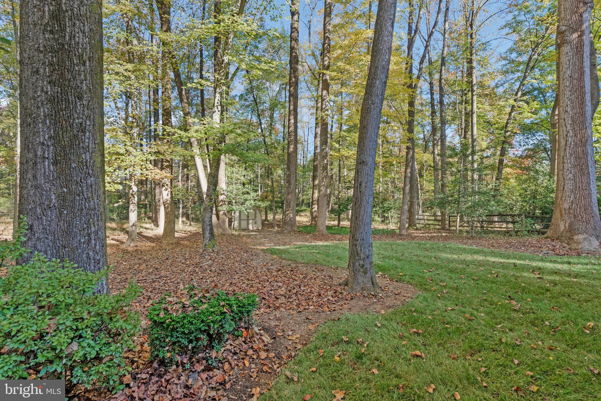 11181 Longwood Grove Drive Reston, VA 20194 - Photo 91 of 94 Serene woodland retreat in autumn hues.