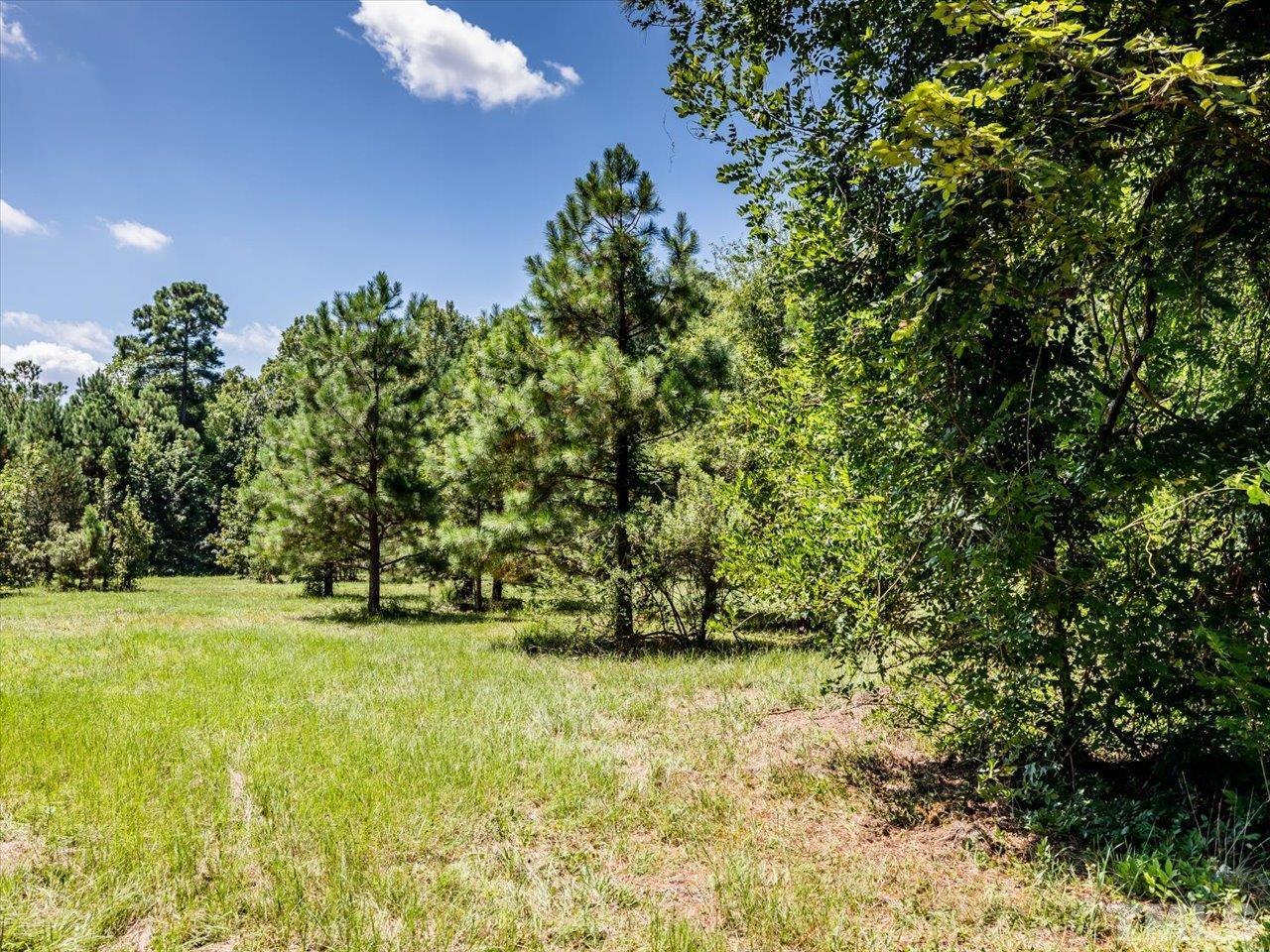106 Caley Wilson Road Apex, NC 27523 - Photo 10 of 16 Gallery Image 10