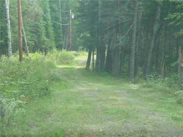 293 Old Dead River Road Stratton, ME 04982 - Photo 12 of 19 summer drive - Copy